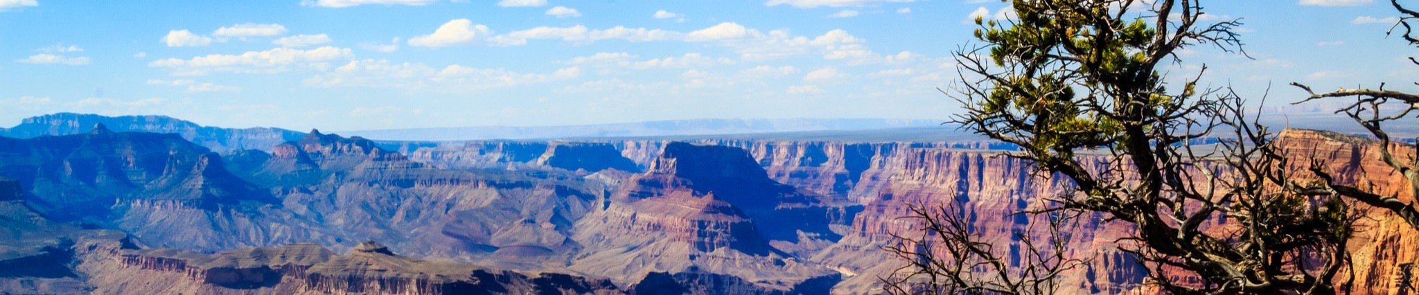 Separation Canyon Retreat